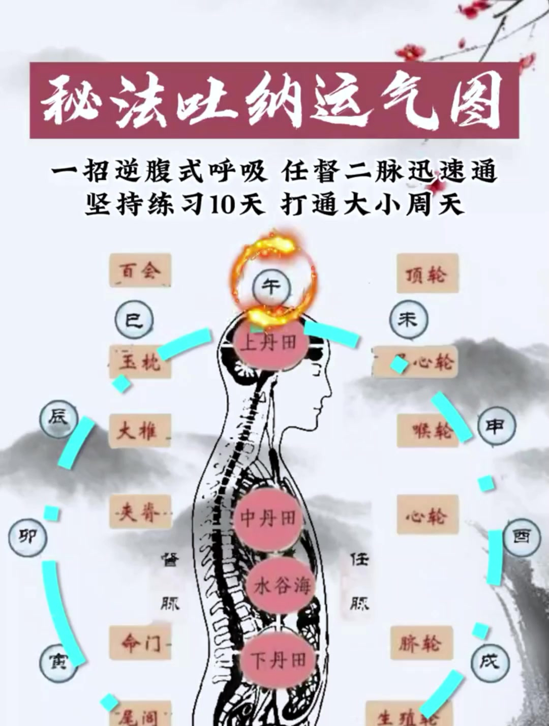 腹式呼吸法图解图片