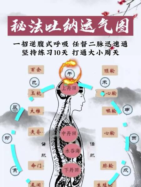 一招逆腹式呼吸任督二脉迅速通