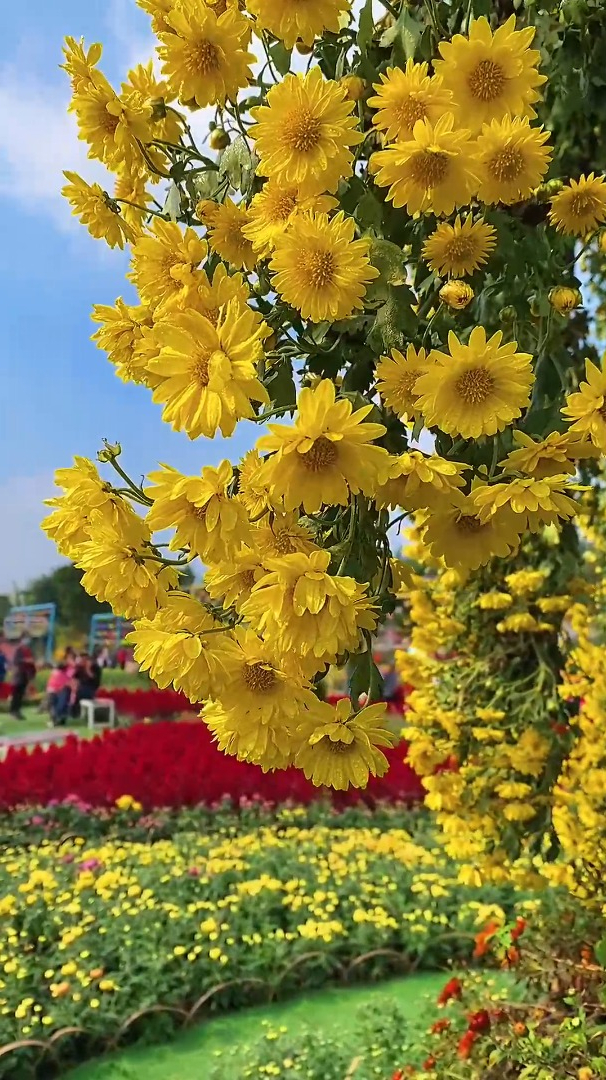 风景欣赏:如果,这样的画面,能让你有一些舒心清爽的治愈感