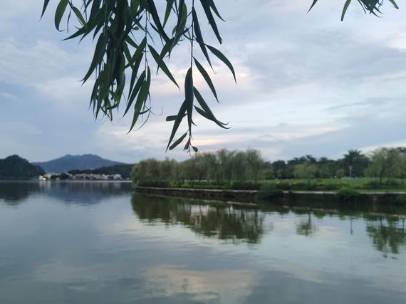 肇慶牌坊公園,感受七星湖夜景之美,偶遇七星巖燈光秀