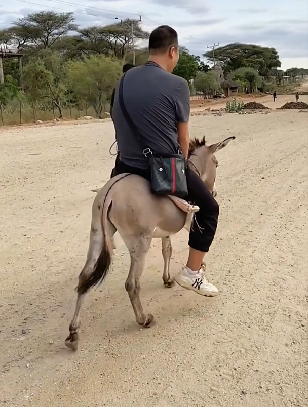 非洲人骑毛驴,宝驴牌一箱油,只需一捆草