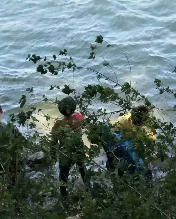 回顾:辽宁池塘出现"水怪",莲花养殖户损失数万,抓到后