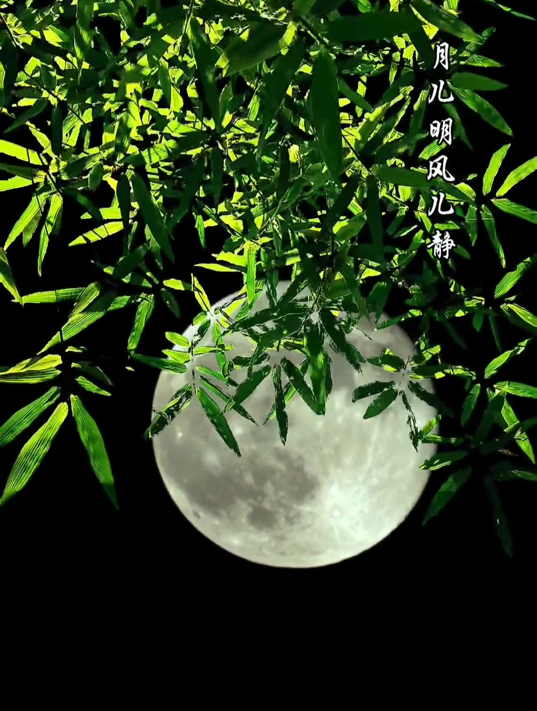 《摇篮曲》一首柔情入骨,爱音袅袅,弦律优美的东北民歌-度小视