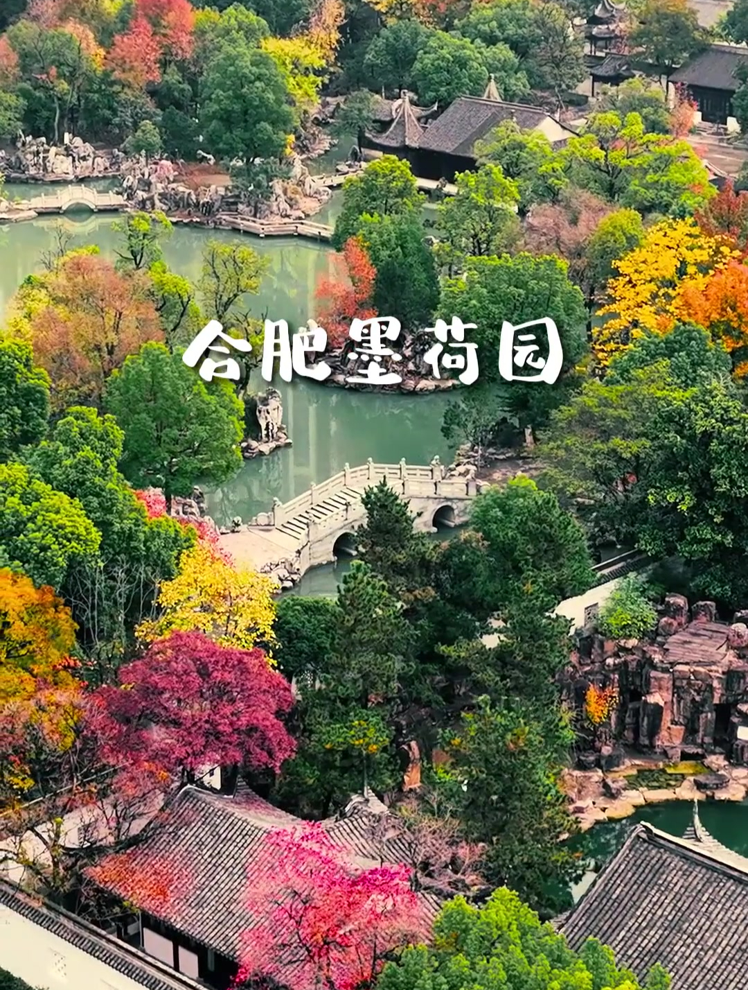 航拍中国最大的私家园林,合肥墨荷园-度小视