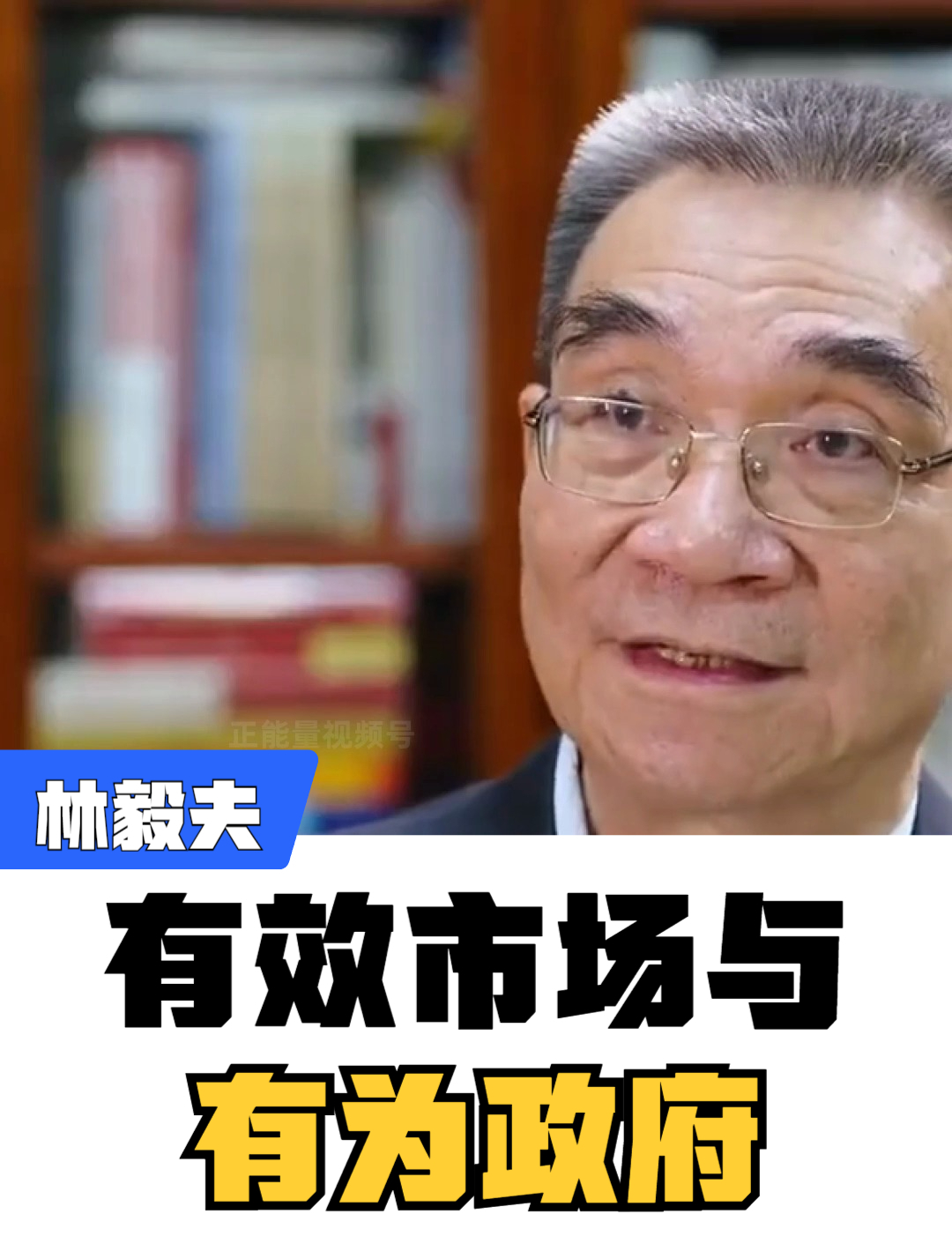 林毅夫:有效市场和有为政府的关系!