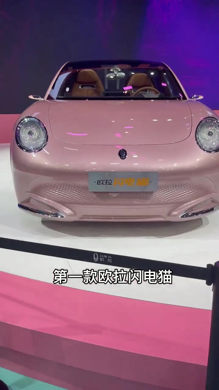 送给女朋友最好的礼物欧拉闪电猫