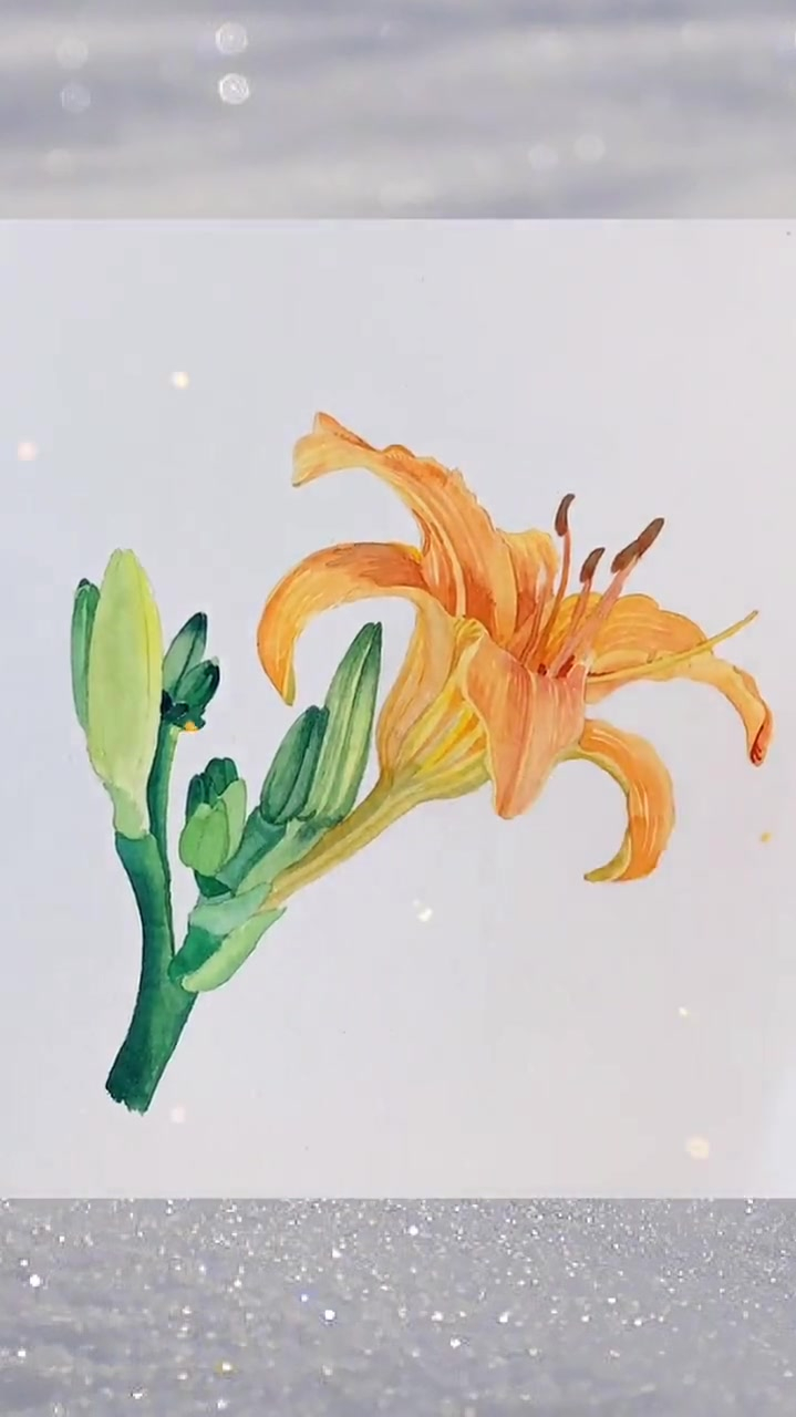 水彩萱草花,今日份萱草花