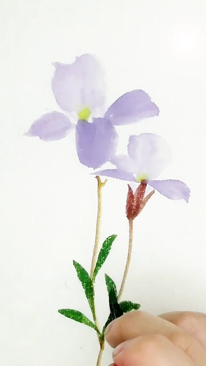 传统国画:国画写意小花画法