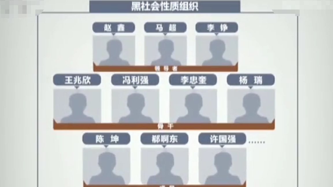 2015年"邯郸五虎"殴打女性,拽头暴揍泄怒火,光天化日砍杀仇家