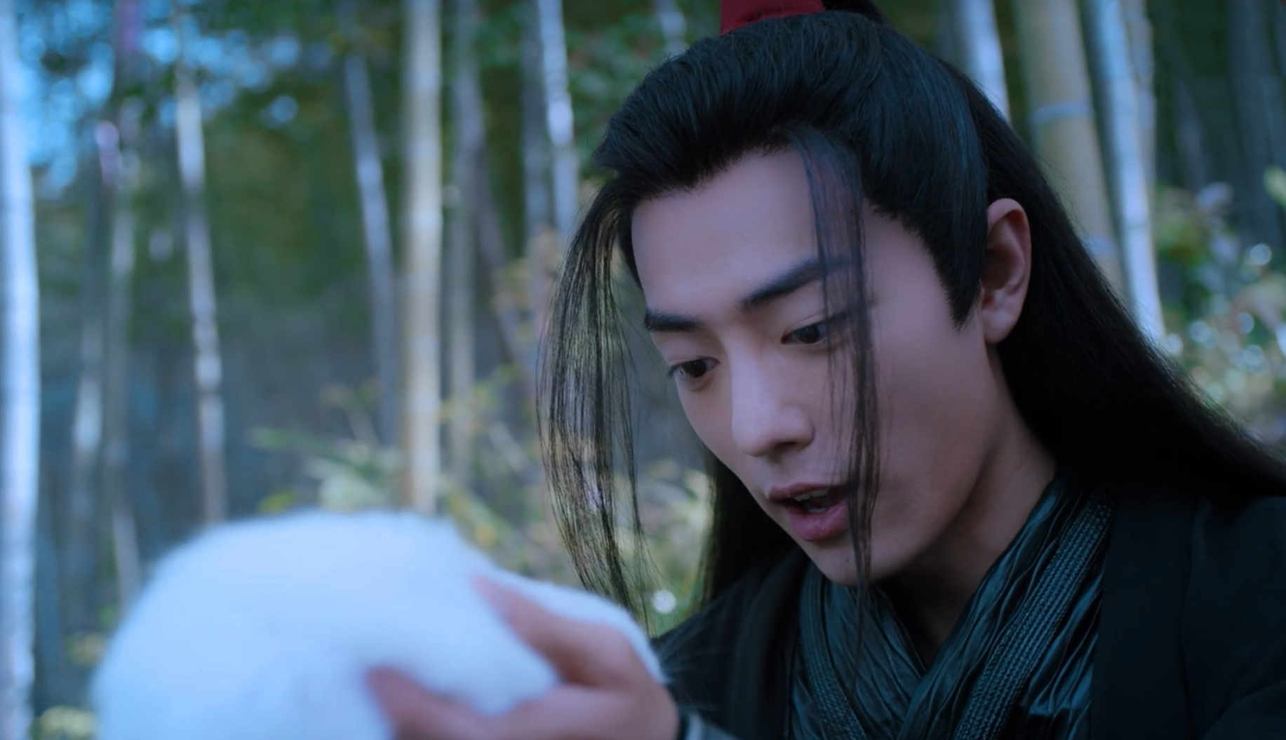 《陈情令》中多次出现的兔子,对忘羡意味着什么?