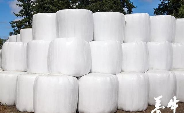 裹包发酵过程是复杂的