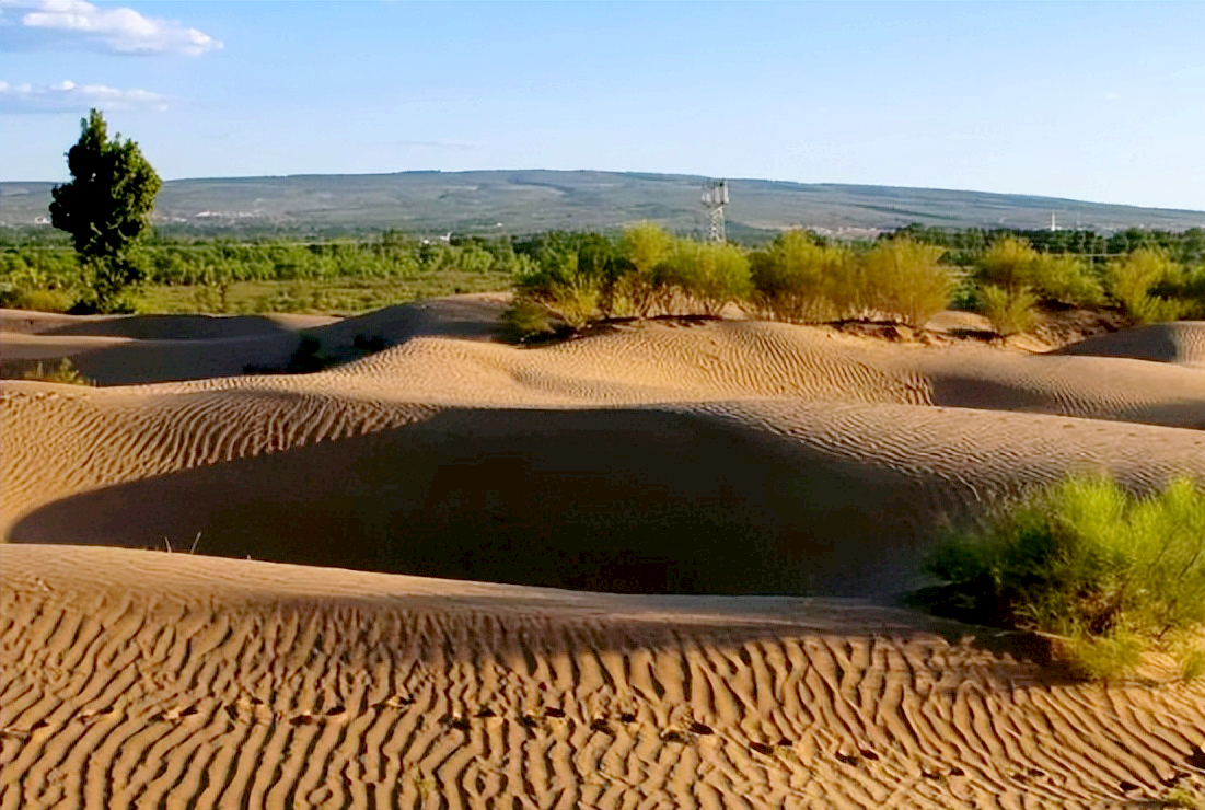 03年,四川包工头耗尽千万家产,沙漠种树100万棵,如今怎样了?