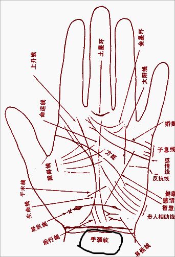 手纹解析图片