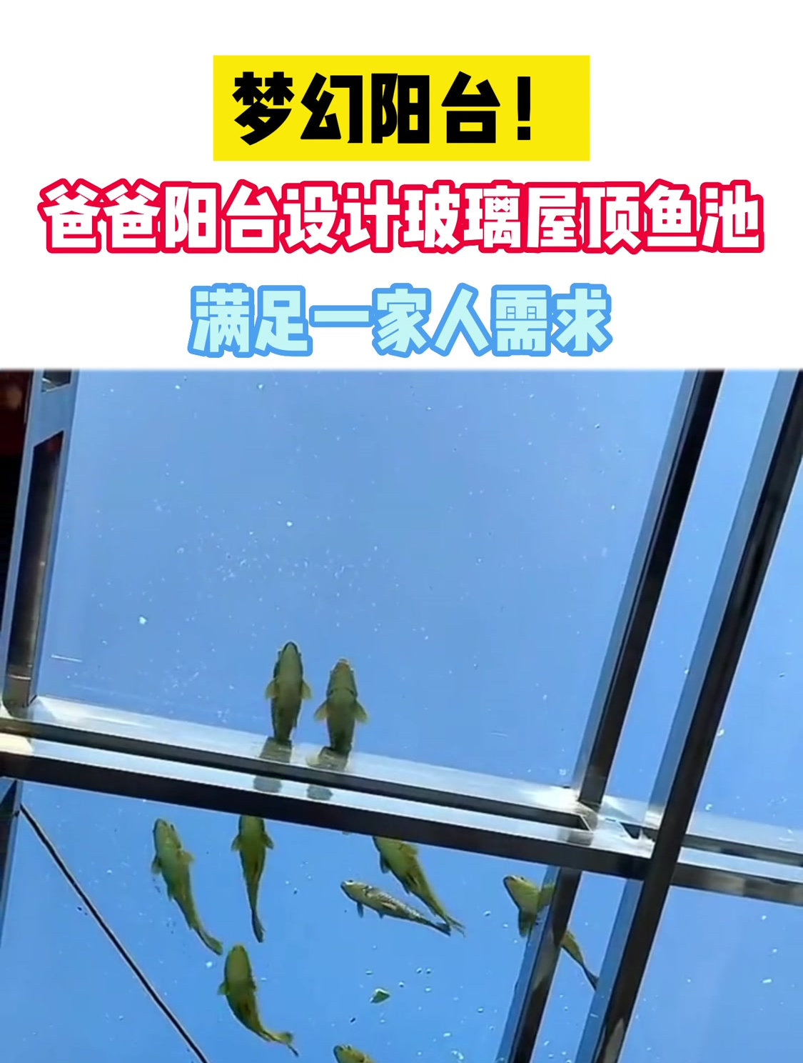 一名女子晒出自家的阳台,全景玻璃屋顶,上面还设计了一个鱼池-度小视