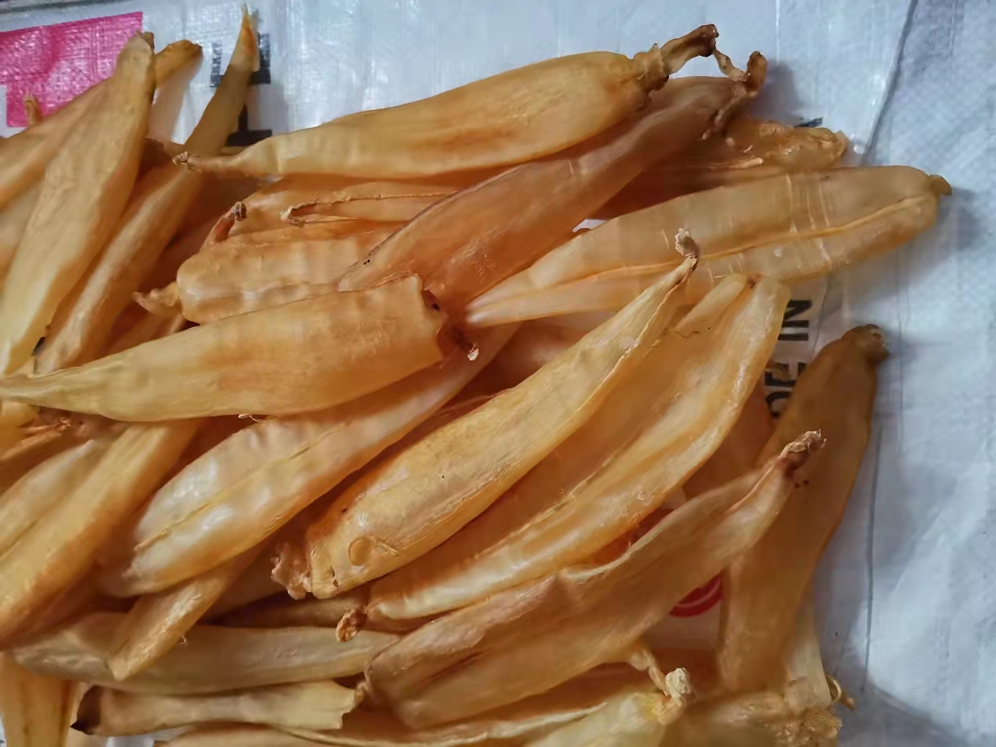 金龙鱼胶的功效和作用