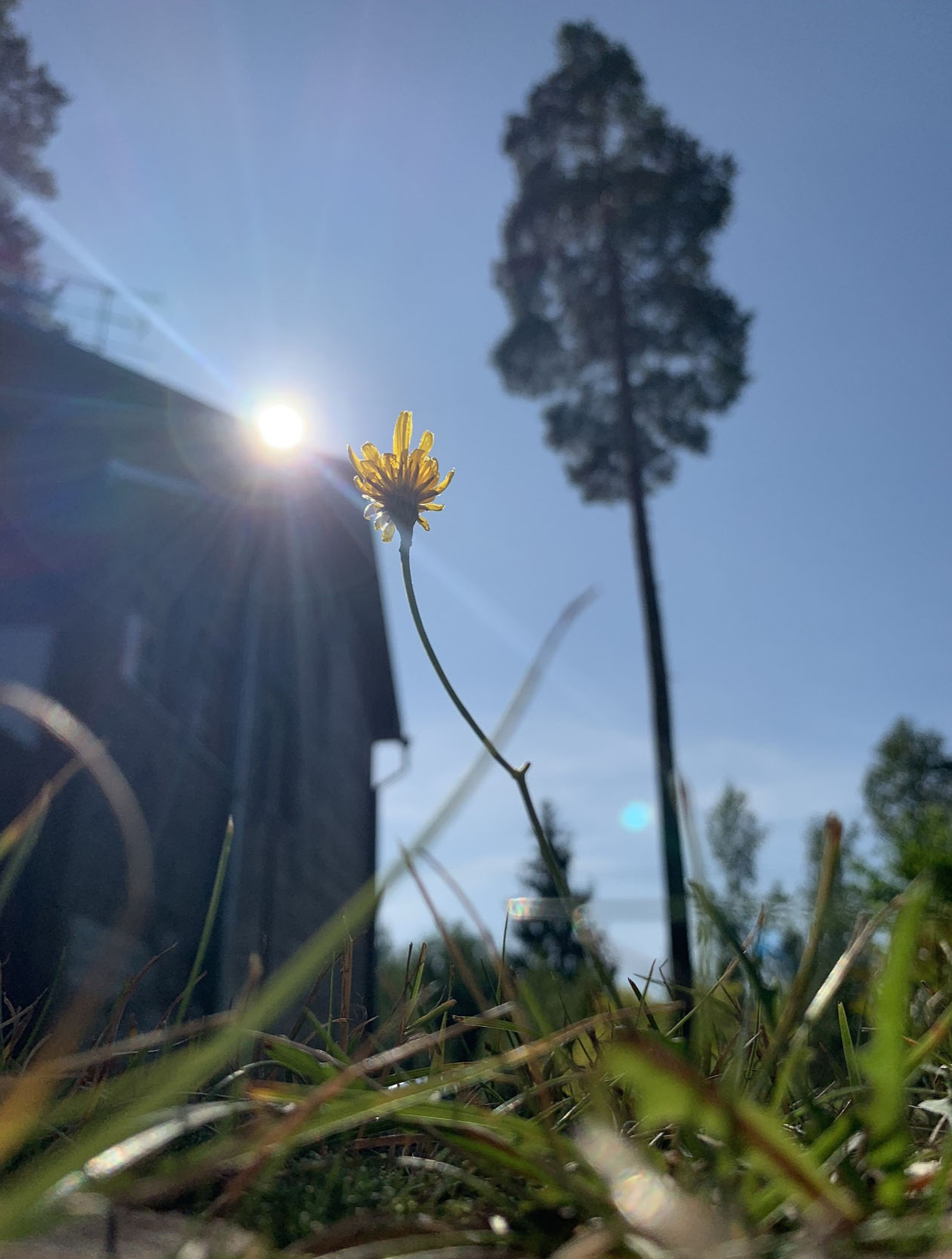 人生感悟:坦然面对和无欲无求