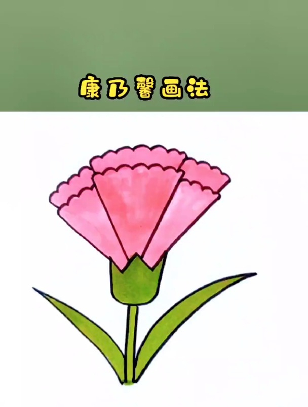 康乃馨花苞简笔画图片
