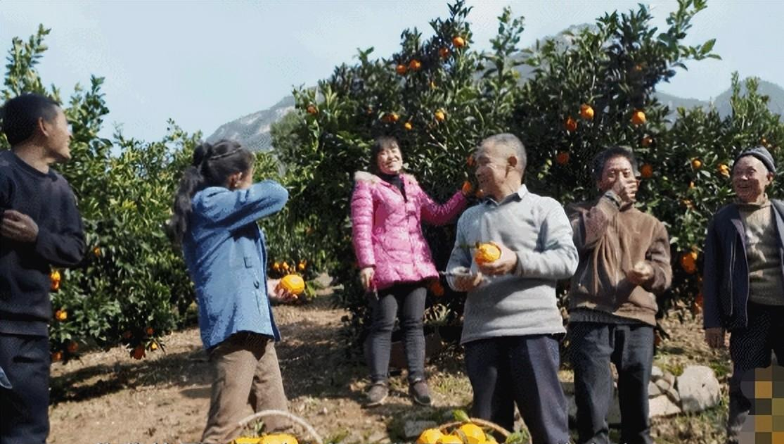 纪实在世愚公毛相林为脱贫致富不惜花7年时间开辟16里山路