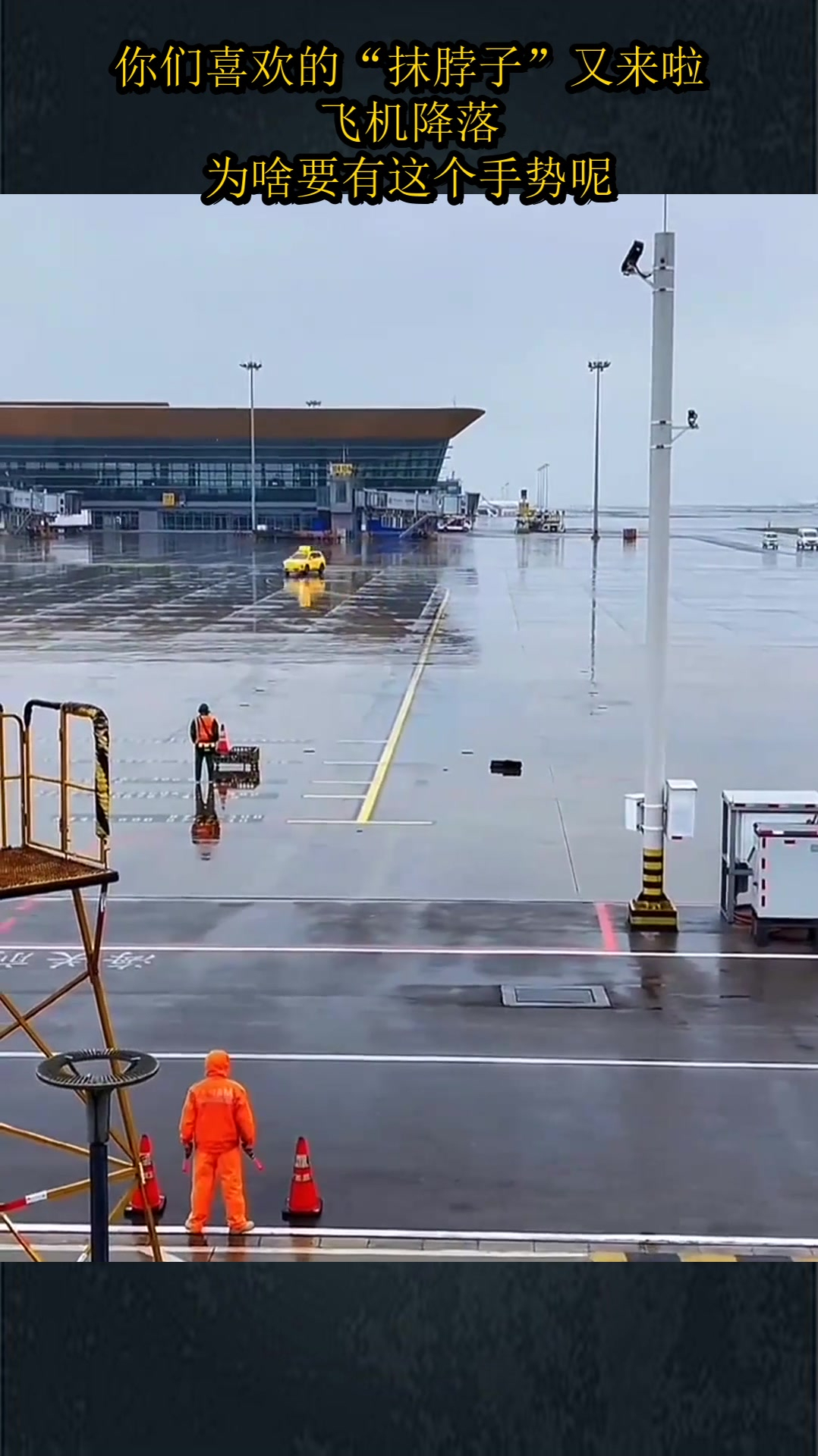 你们喜欢的"抹脖子"又来啦!飞机降落,为啥要有这个手势呢?