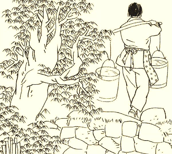 民间故事:女子扮寡妇,活捉采花贼,女子:我是龙虎派弟子