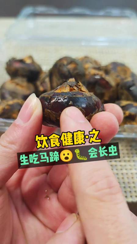 会长寄生虫……-度小视