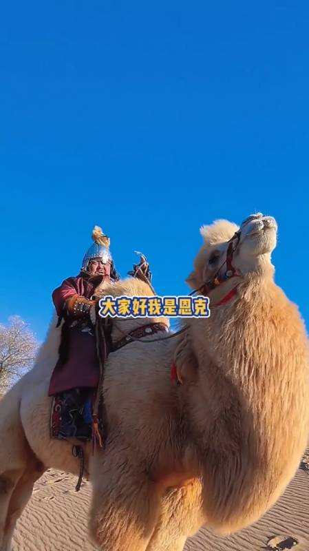 恩克:今天骑着我心爱的小骆驼,到兄弟家吃羊肉肠呀-度小视