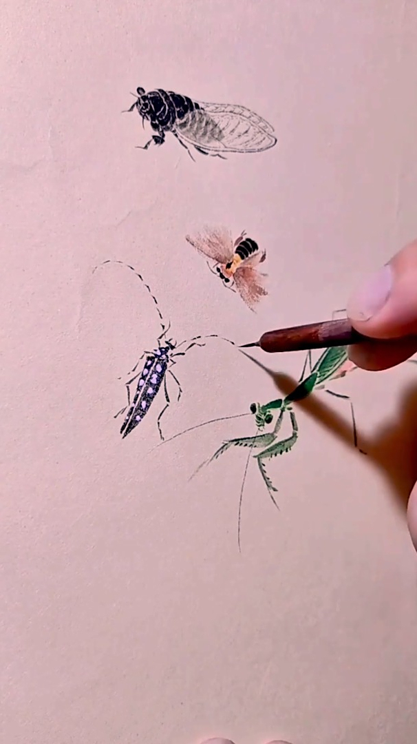 好看的国画,简简单单画天牛