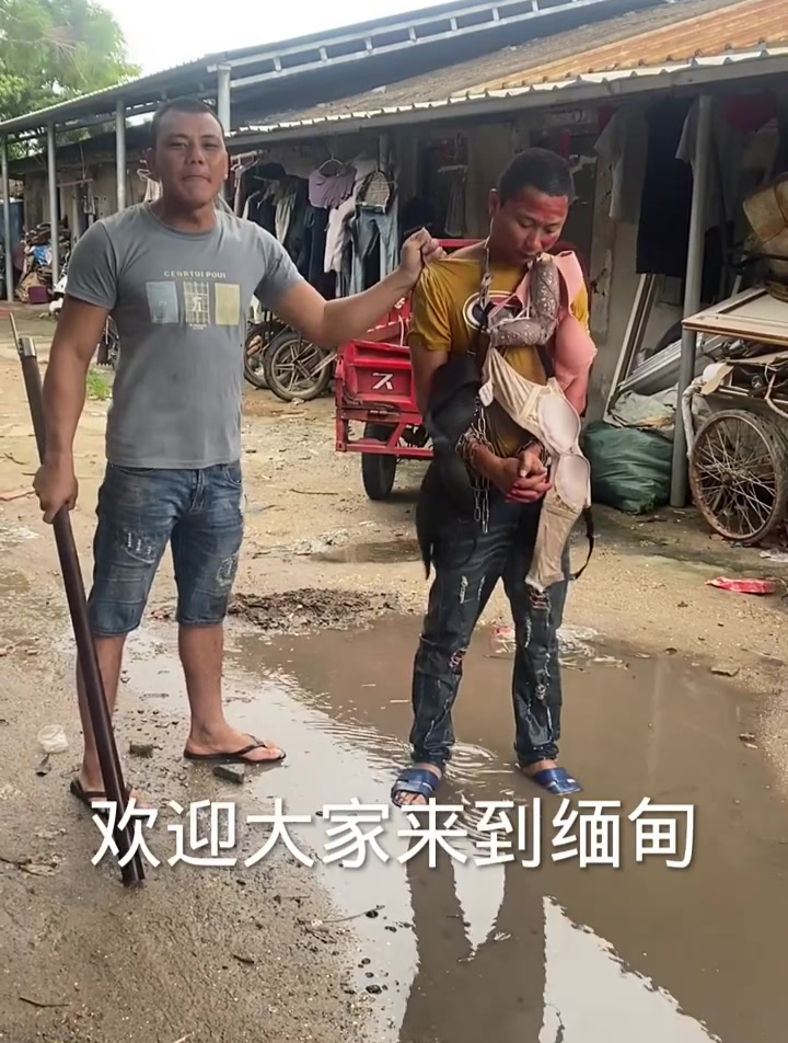 缅甸北部真实视频合集下载
