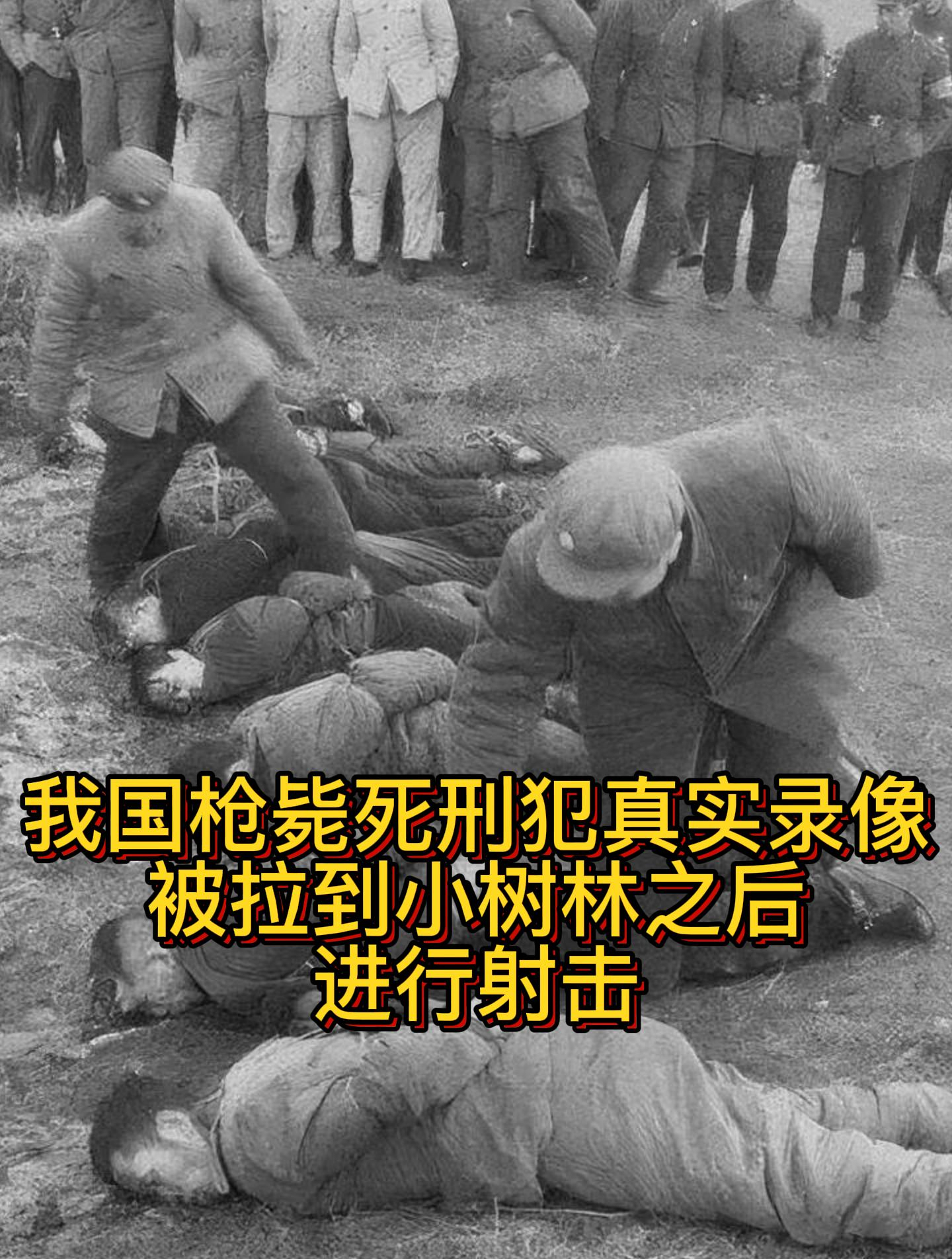 死刑爆头枪毙图片