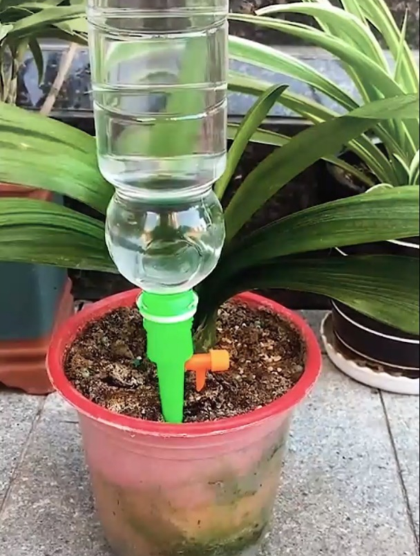 家里养植物的一定要看看,这样自动浇水神器,让你更加轻松舒服