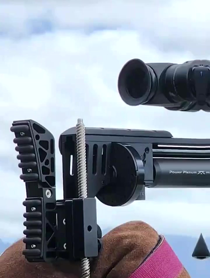 国外小哥使用瑞士fxlmpactm3高压气枪猎杀鹌鹑过程