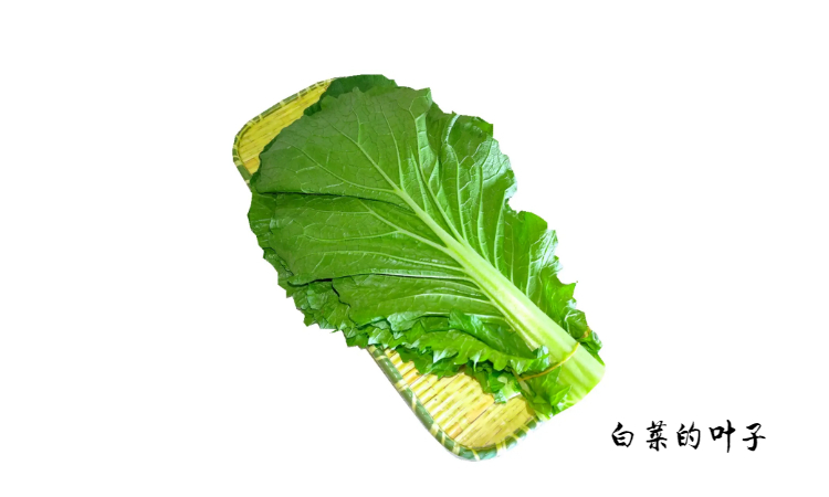 饭包的菜叶是什么叶子