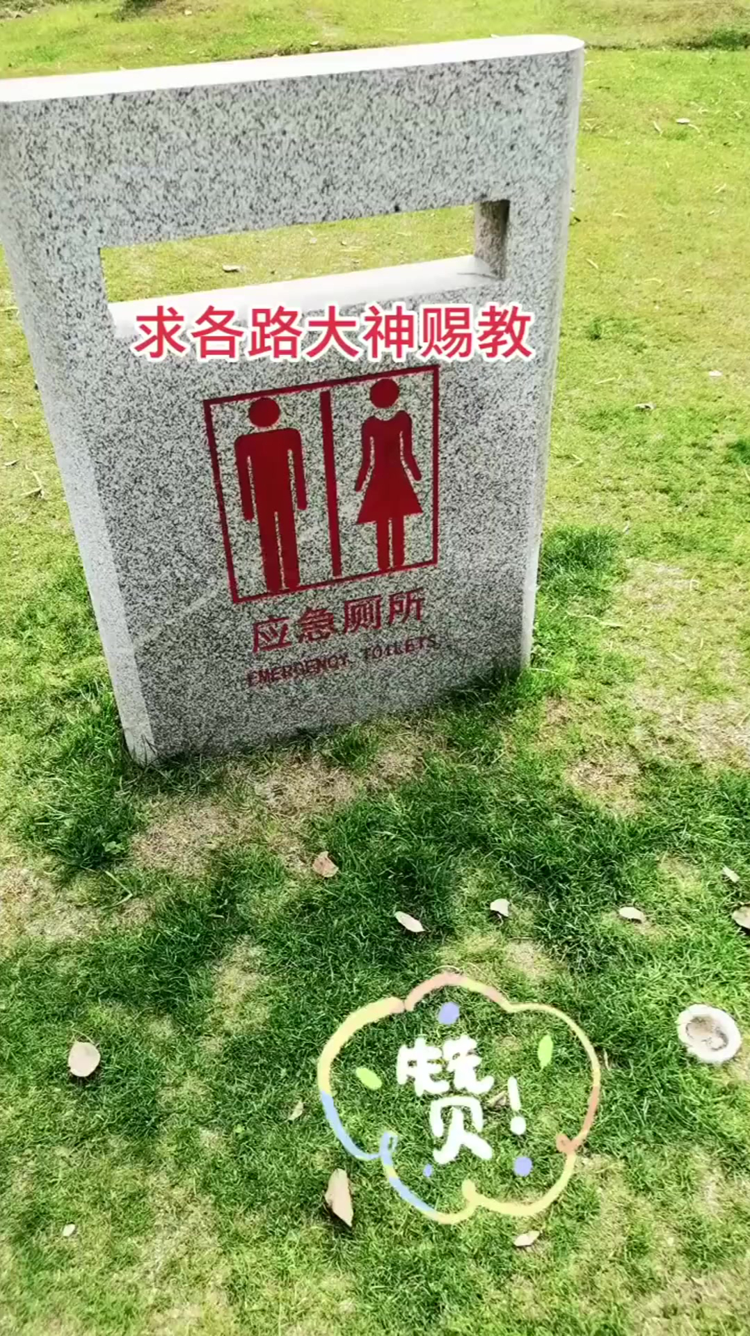 男女应急厕所,看到这里我也是服了!到底是怎么个用法?-度小视