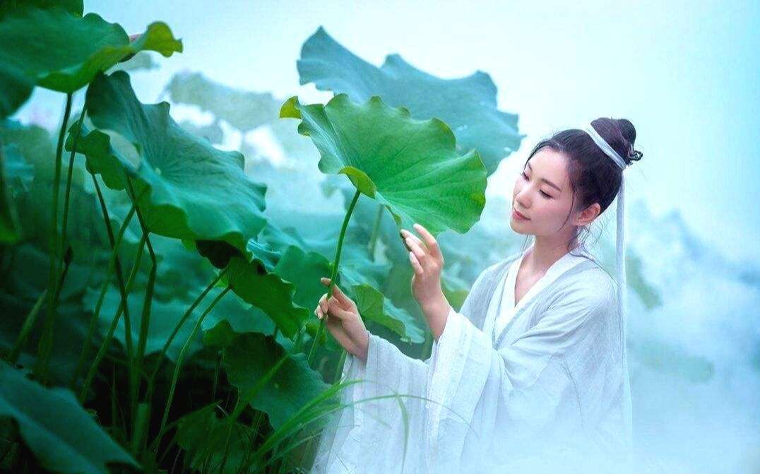 白居易这首诗,刻画了采莲女遇情郎的娇羞态,美得醉人