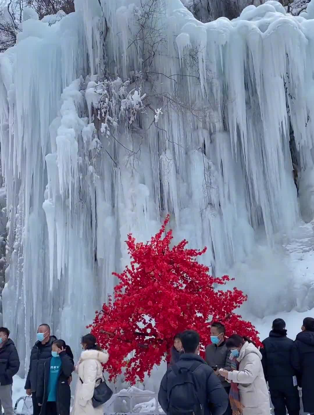 云台山的冰挂冰瀑惊艳焦作整个冬天,带上心爱的人-度小视