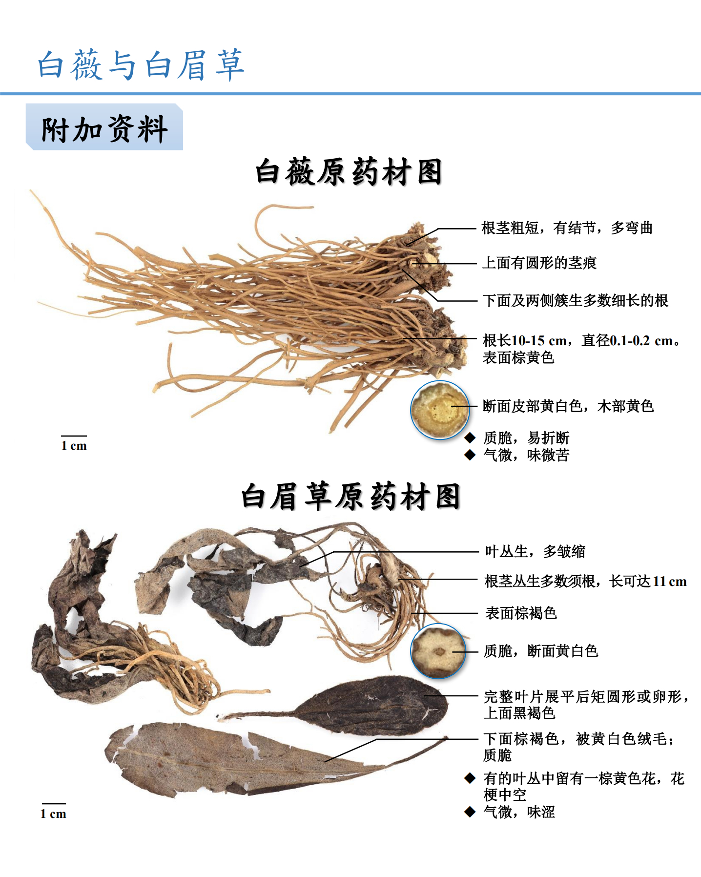 白薇与白眉草药材鉴别