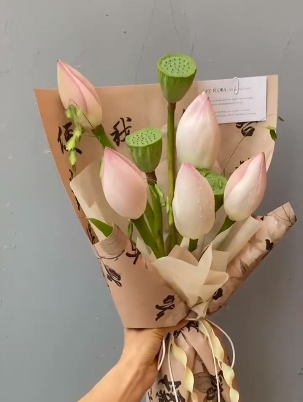 花束荷花莲蓬清新优雅的调调又多了爱夏天的理由