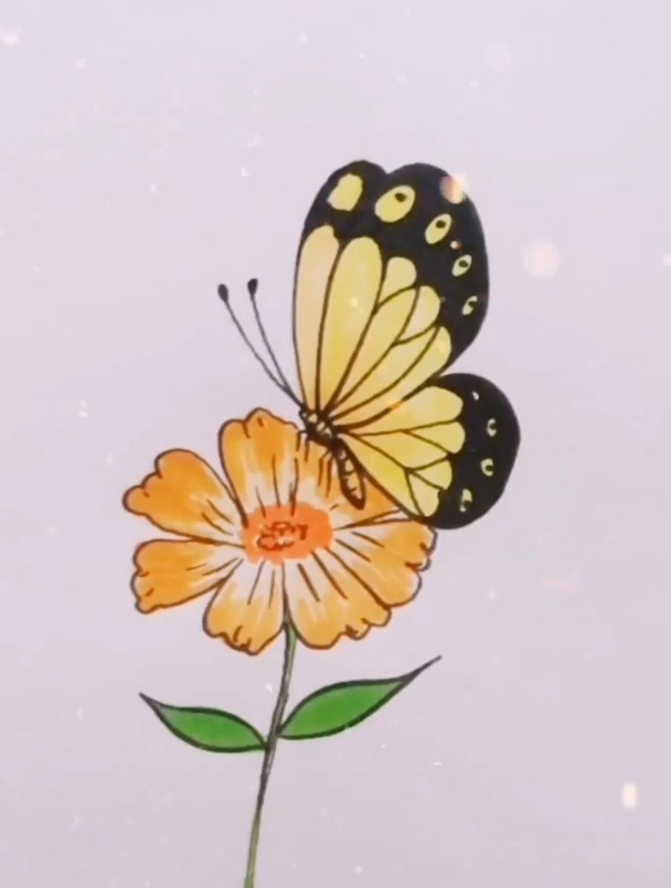 蝴蝶简笔画侧面图片
