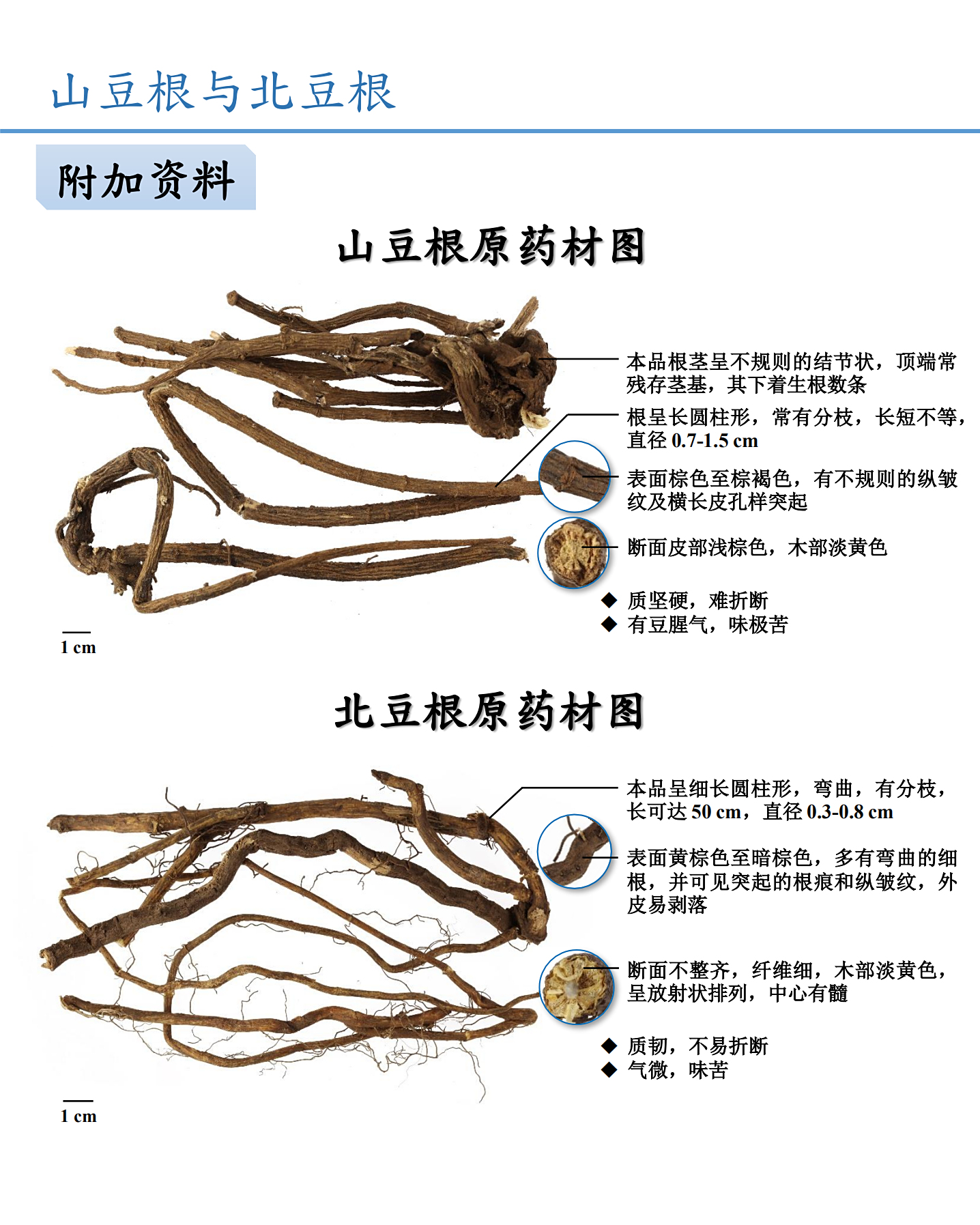 山豆根与北豆根鉴别