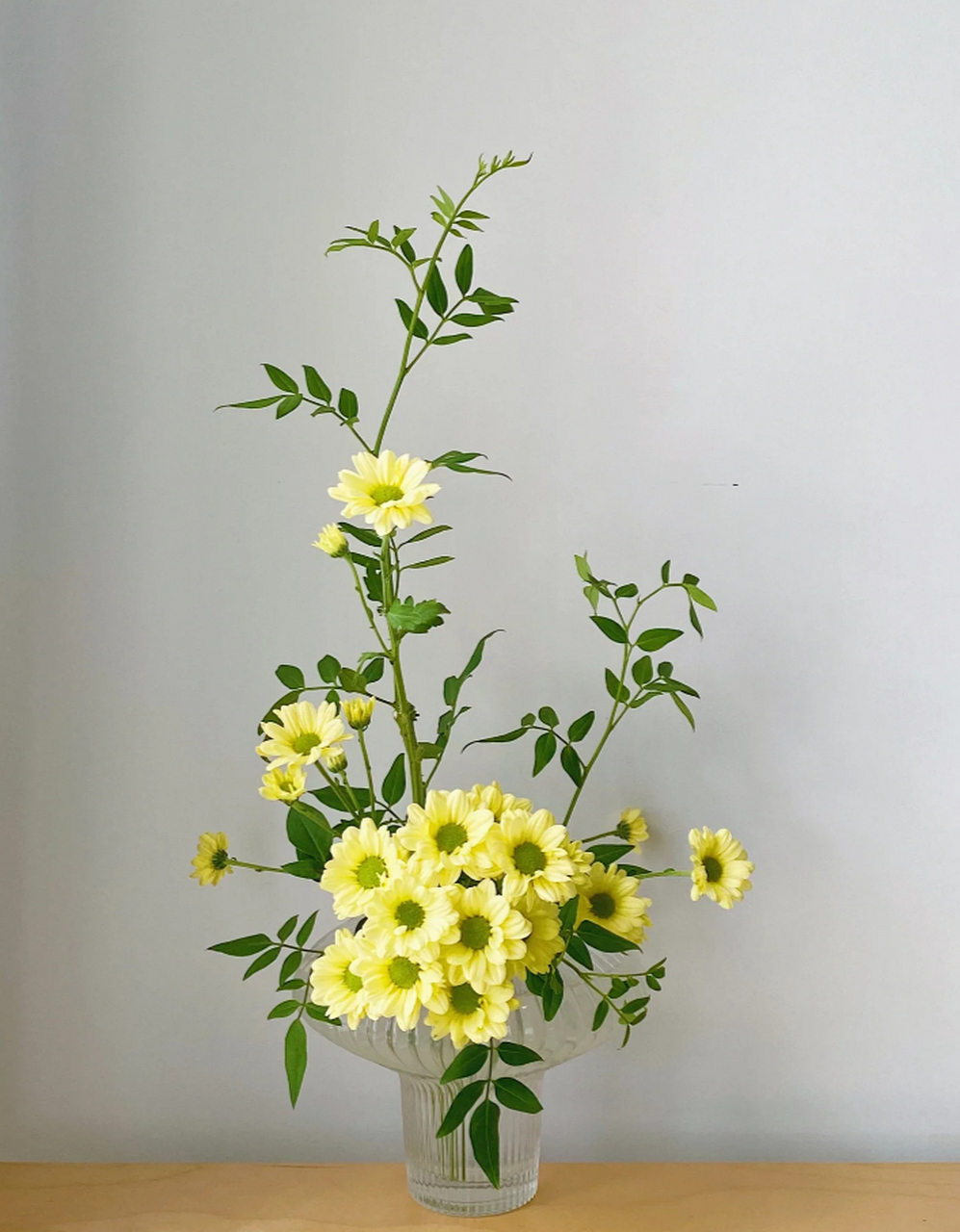 平凡日子里的光 小雏菊插花来啦!