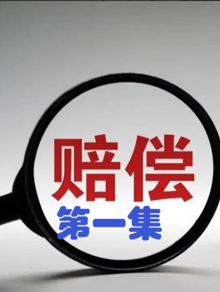 父亲意外身亡留下40万赔偿款,12年后儿子想要回,却频频被打-度小视