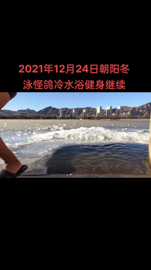 朝阳冬泳怪鸽 @朝阳冬泳怪鸽