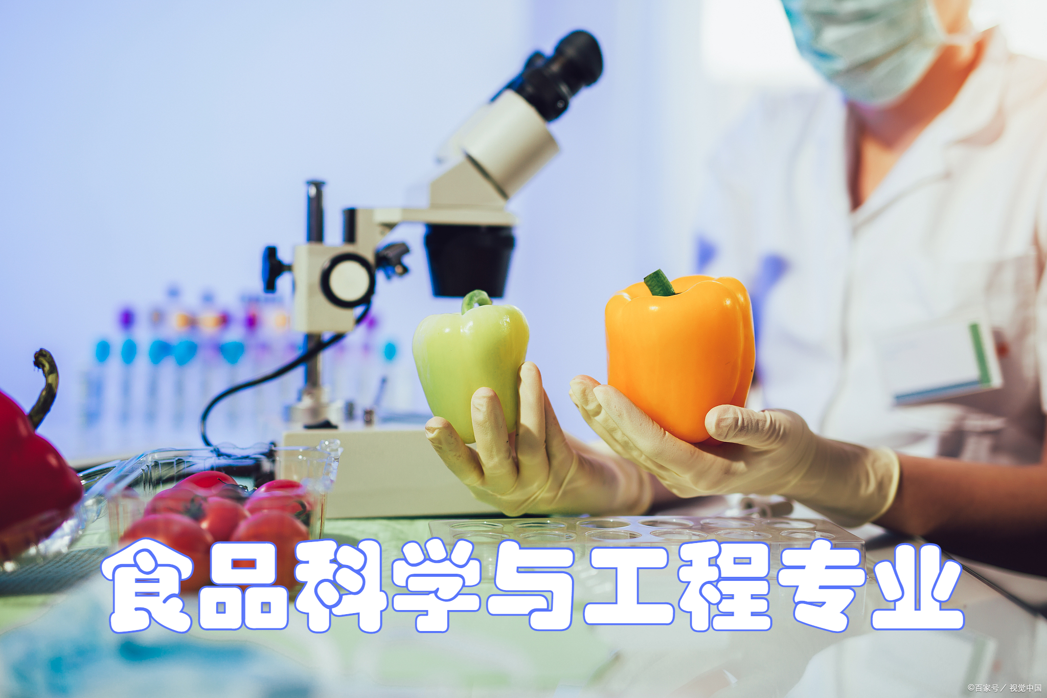 食品科学与工程专业就业前景分析