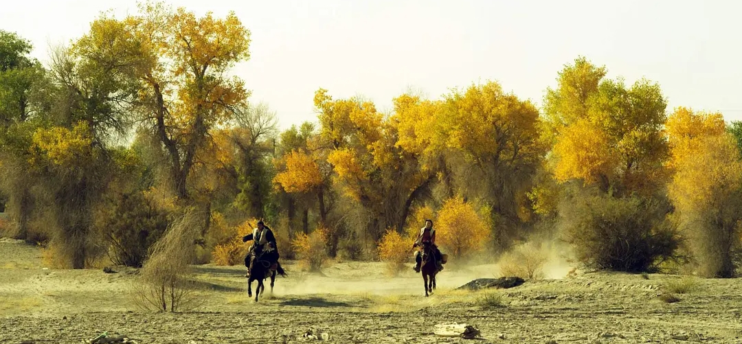 《骆驼客2之箭在弦》佟二尕结局说明什么?这部电影好在哪里