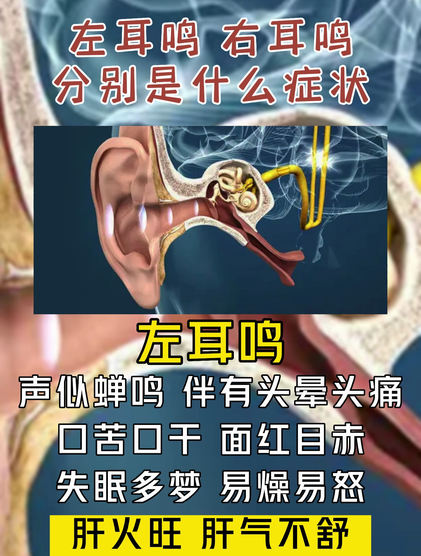 左耳鸣 右耳鸣 分别是什么症状
