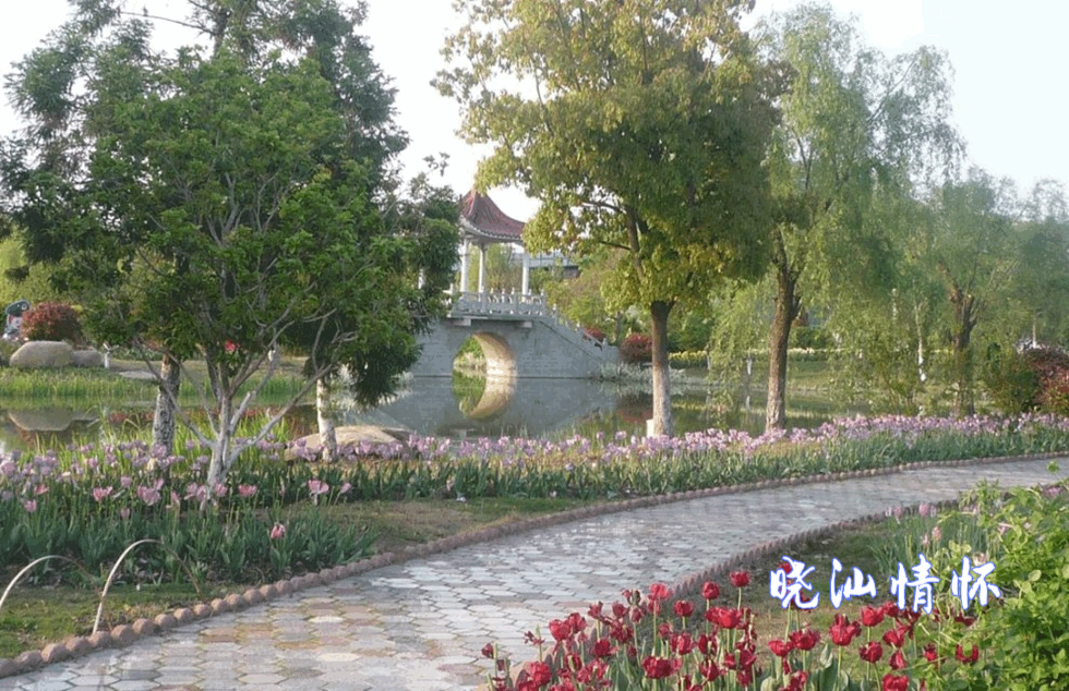 美丽的邂逅:江苏泰州花博园游记三