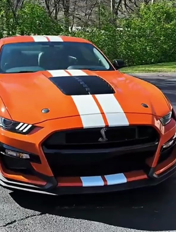 福特眼镜蛇(福特眼镜蛇gt500)