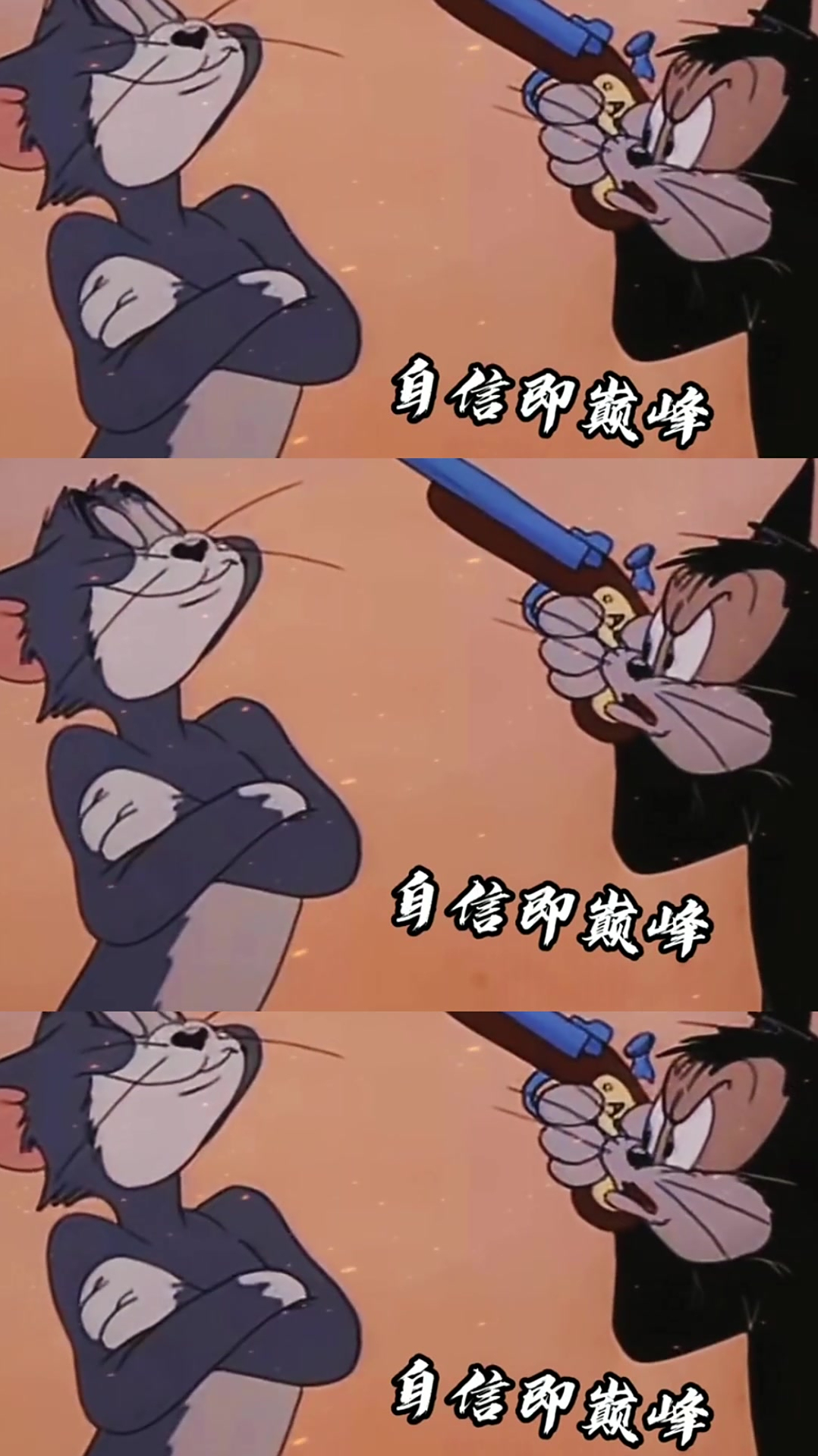 自信即是巅峰,猫和老鼠