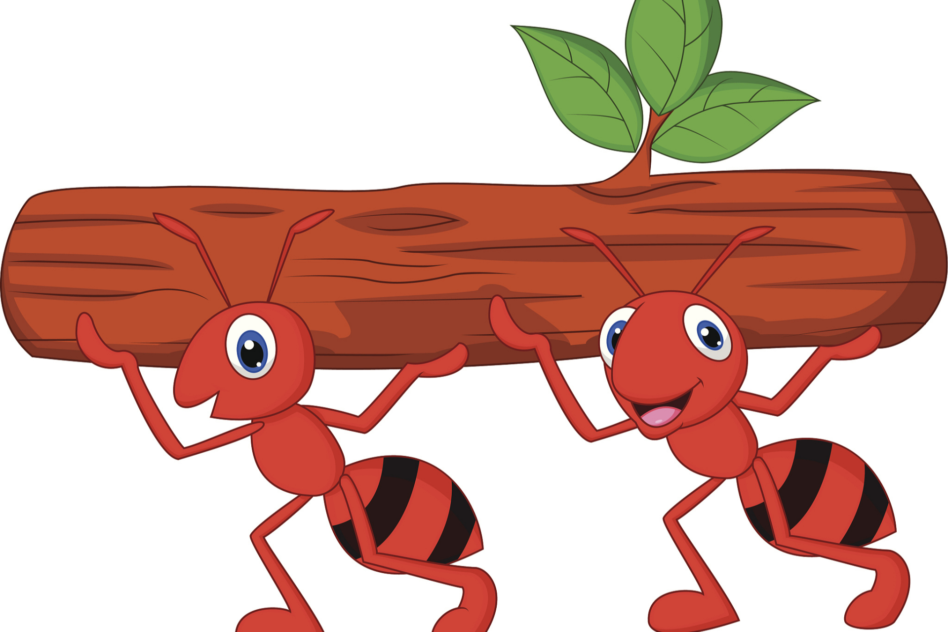 蚂蚁被称为"大力士",是因为它们具有强大的肌肉力量,高效的能量利用和