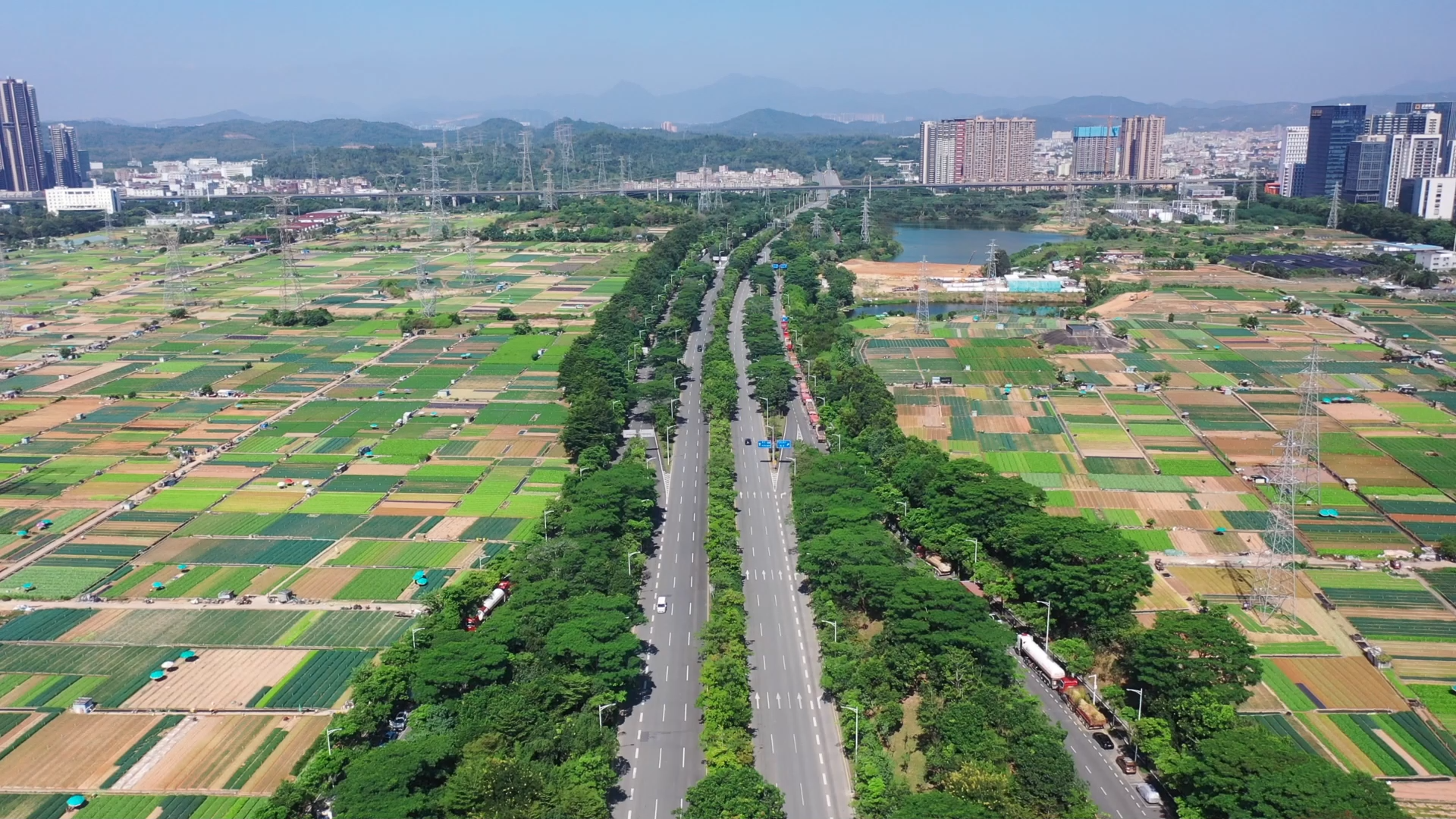 龙田街道图片